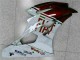 Marrón Blanco Carenado Moto Yamaha R6 06-07