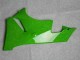 Negro Verde 636 Carenado Moto Kawasaki ZX6R 09-12 Negro Verde 636 Carenado Moto Kawasaki ZX6R 09-12