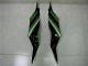 Negro Verde Kit Completo Carenado Moto Kawasaki ZX6R 13-18 Negro Verde Kit Completo Carenado Moto Kawasaki ZX6R 13-18