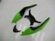 Negro Verde Roja Carenado Moto Kawasaki ZX6R 09-12 Negro Verde Roja Carenado Moto Kawasaki ZX6R 09-12