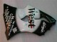 Negro West Ninja Carenado Moto Kawasaki ZX6R 00-02 Negro West Ninja Carenado Moto Kawasaki ZX6R 00-02