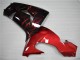 Rojo Llama Carenado Moto Kawasaki ZX10R 06-07 Rojo Llama Carenado Moto Kawasaki ZX10R 06-07