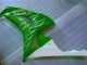 Verde Carenado Moto Honda CBR 1000 RR 06-07