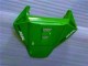 Verde Carenado Moto Honda CBR 1000 RR 06-07