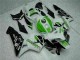 Verde Carrocería Motocicletas Honda CBR 600 RR 05-06 Verde Carrocería Motocicletas Honda CBR 600 RR 05-06