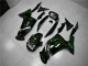 Verde Llama Carenado Moto Kawasaki EX650 06-08 Verde Llama Carenado Moto Kawasaki EX650 06-08
