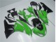 Verde Negro Kit Carenado ABS Completo Kawasaki ZX6R 09-12 Verde Negro Kit Carenado ABS Completo Kawasaki ZX6R 09-12