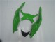Verde Negro Kit Carenado ABS Completo Kawasaki ZX6R 09-12 Verde Negro Kit Carenado ABS Completo Kawasaki ZX6R 09-12