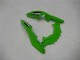 Verde Negro Plata Carenado Moto Kawasaki EX300 13-16 Verde Negro Plata Carenado Moto Kawasaki EX300 13-16